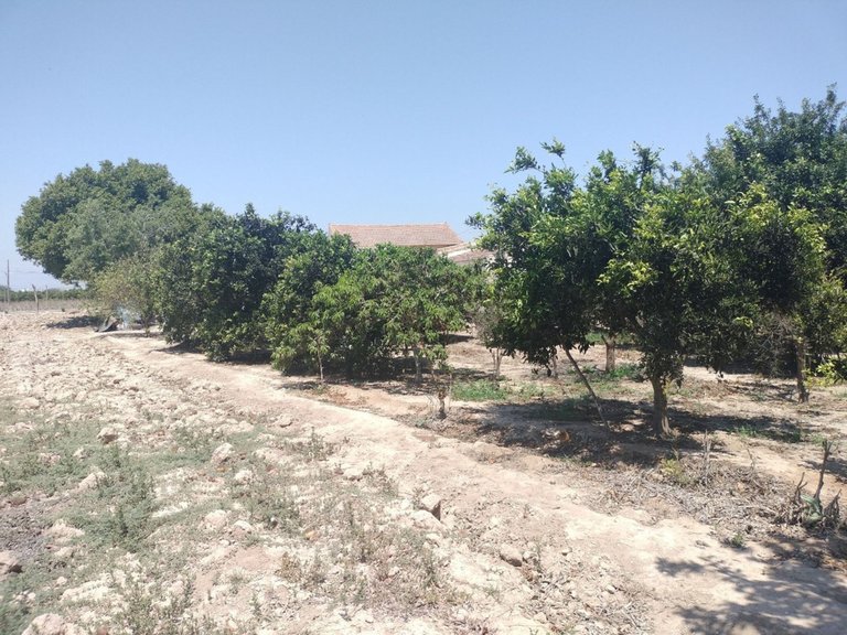 Villa for Sale in Daya Vieja, Alicante 27