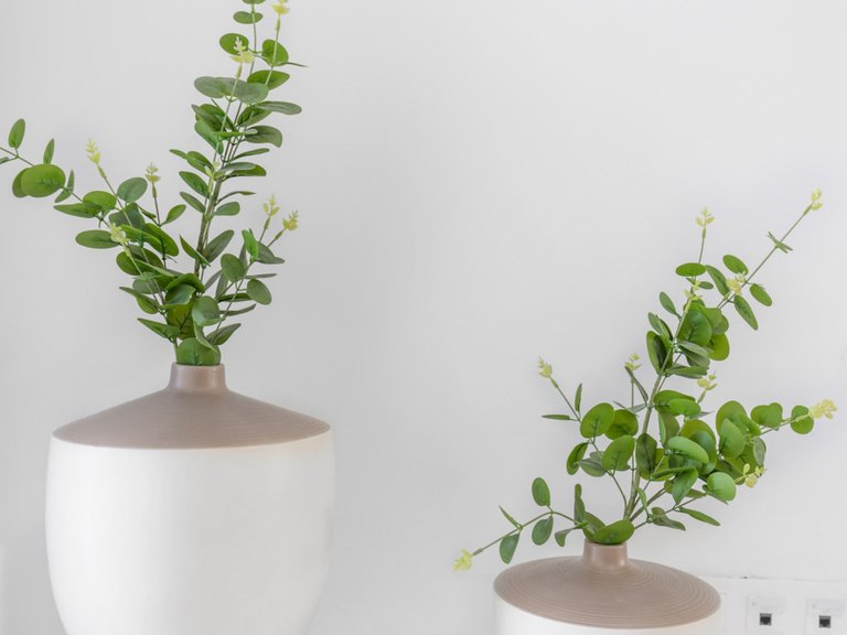 Villa for Sale in Rafal, Alicante 17