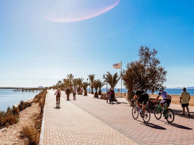 Apartment for Sale in Pilar De La Horadada, Alicante 30