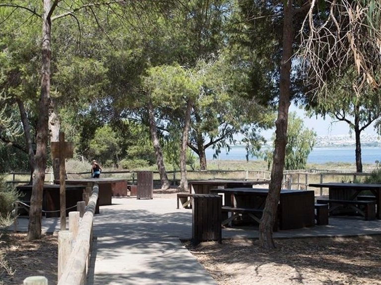 Apartment for Sale in La Mata, Alicante 22