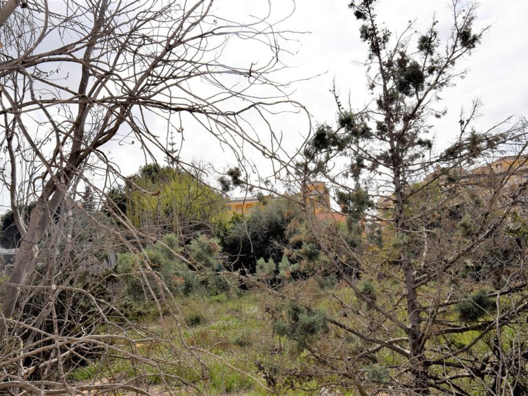 Villa for Sale in Formentera Del Segura, Alicante 21