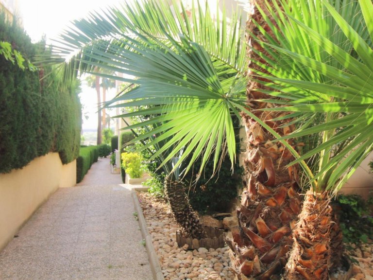 Apartment for Sale in La Veleta, Alicante 34