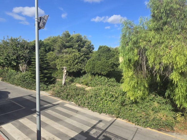 Villa for Sale in Torrevieja, Alicante 9