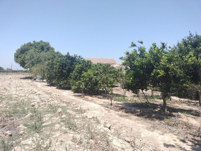 Villa for Sale in Daya Vieja, Alicante 23