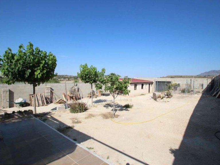 Villa for Sale in Pinoso, Alicante 2