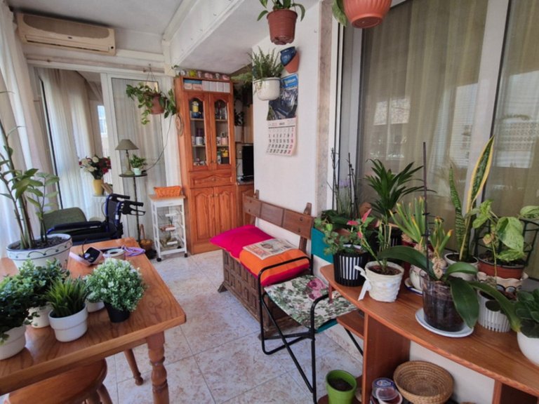 Apartment for Sale in Torrevieja, Alicante 10