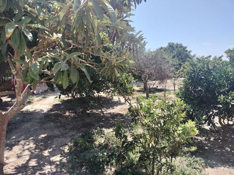 Villa for Sale in Daya Vieja, Alicante 22