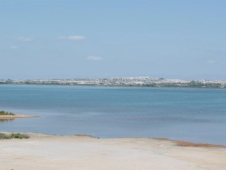 Apartment for Sale in La Mata, Alicante 20