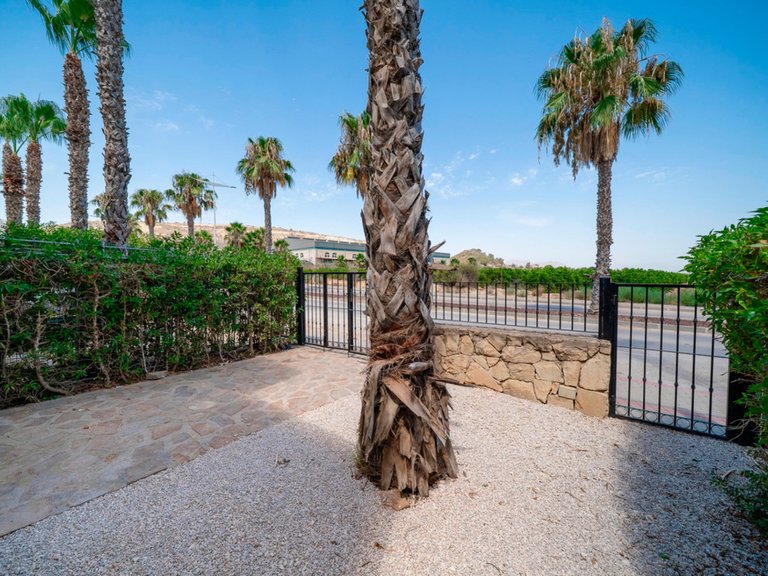 Villa for Sale in Algorfa, Alicante 38