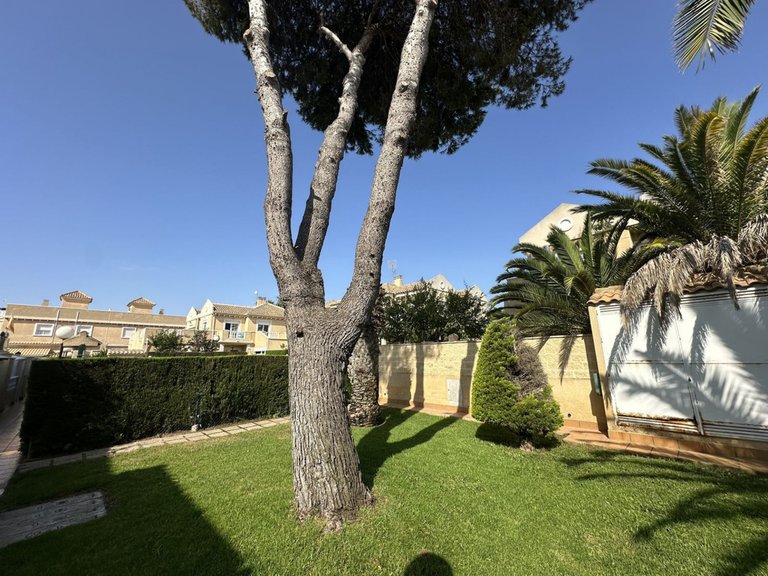 Villa for Sale in Torrevieja, Alicante 28
