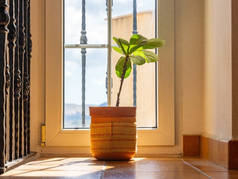 Villa for Sale in Jesus Pobre, Alicante 42