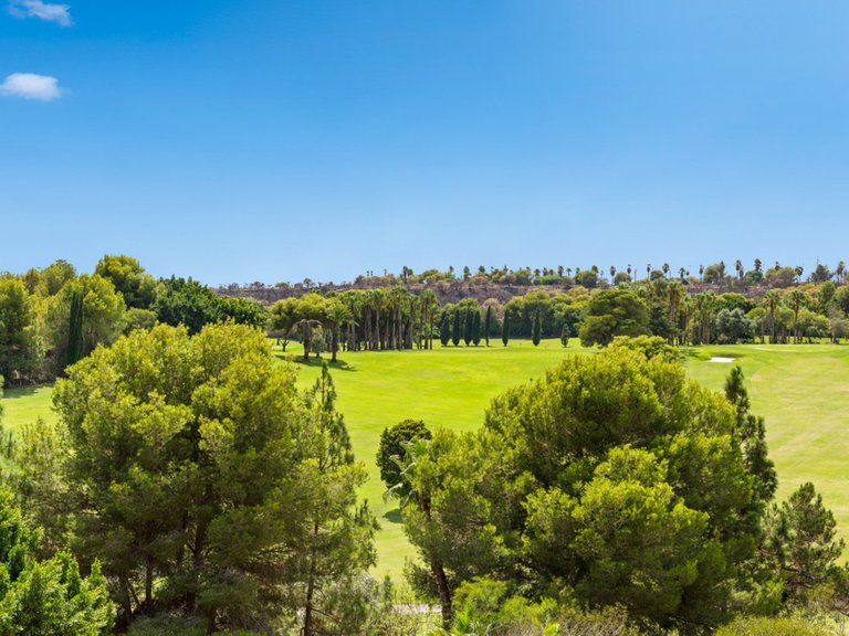 Apartment for Sale in Campoamor, Alicante 27