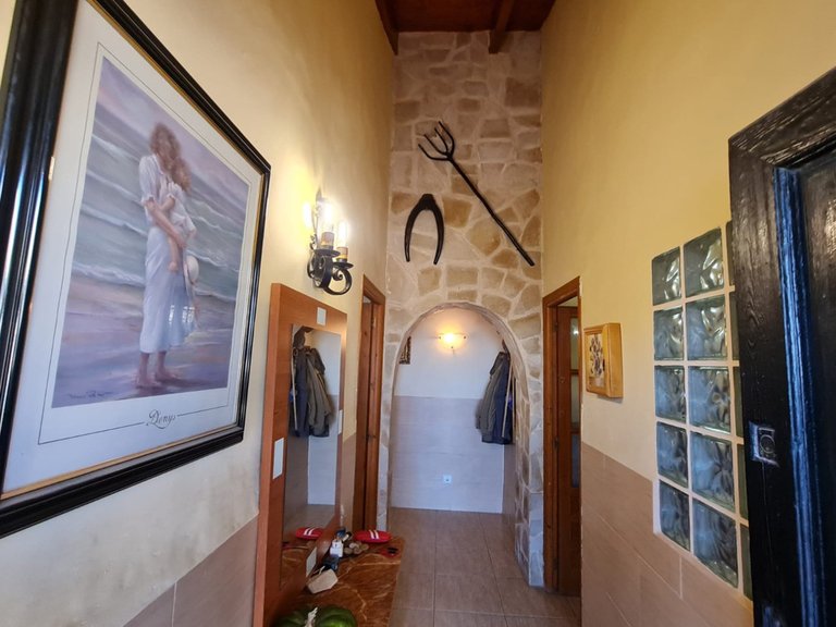 Villa for Sale in Pinoso, Alicante 6