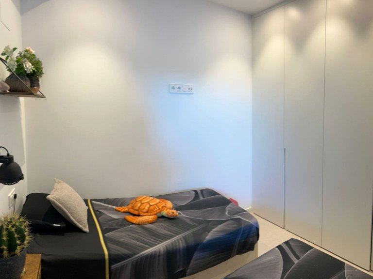 Apartment for Sale in Pilar De La Horadada, Alicante 22