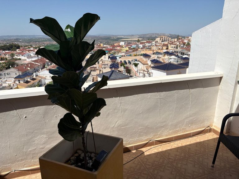 Villa for Sale in Ciudad Quesada, Alicante 18