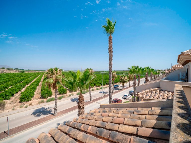 Villa for Sale in Algorfa, Alicante 31