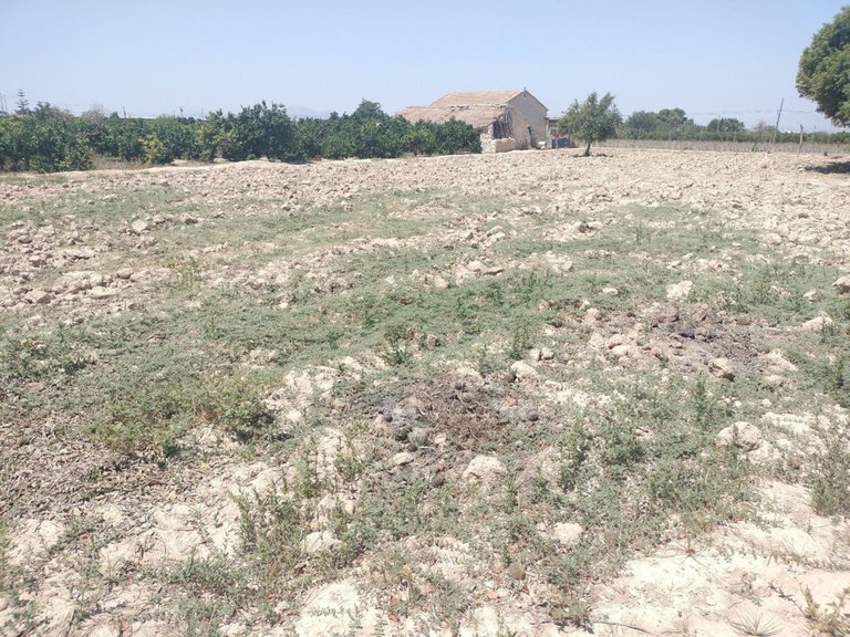 Villa for Sale in Daya Vieja, Alicante 30