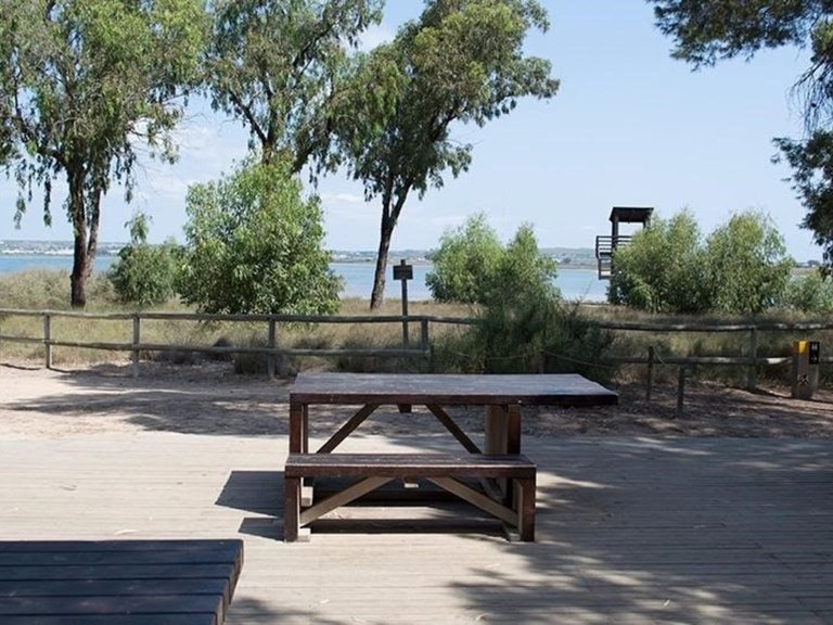 Apartment for Sale in La Mata, Alicante 23