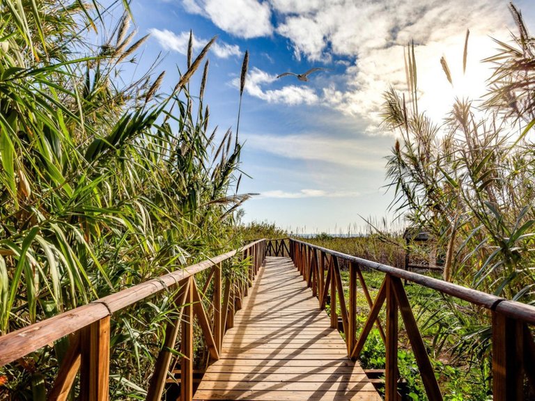 Apartment for Sale in La Mata, Alicante 31