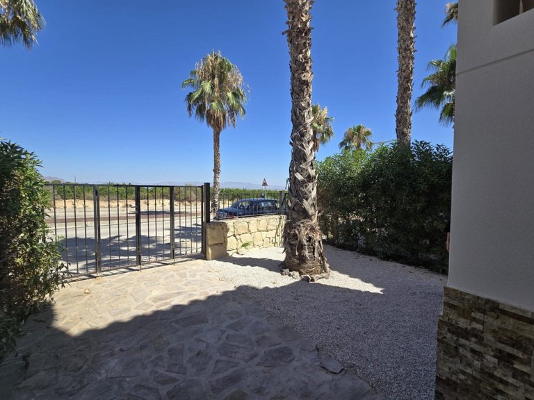 Villa for Sale in Algorfa, Alicante 21