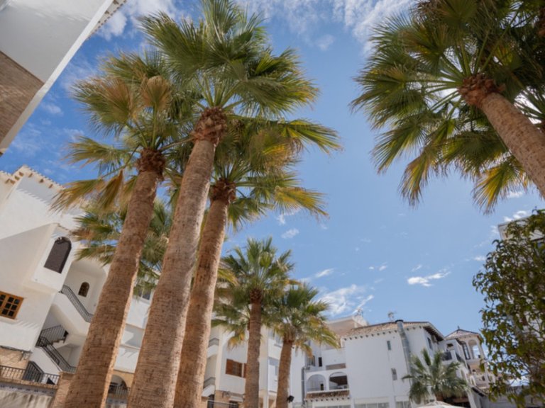 Apartment for Sale in Orihuela, Alicante 22