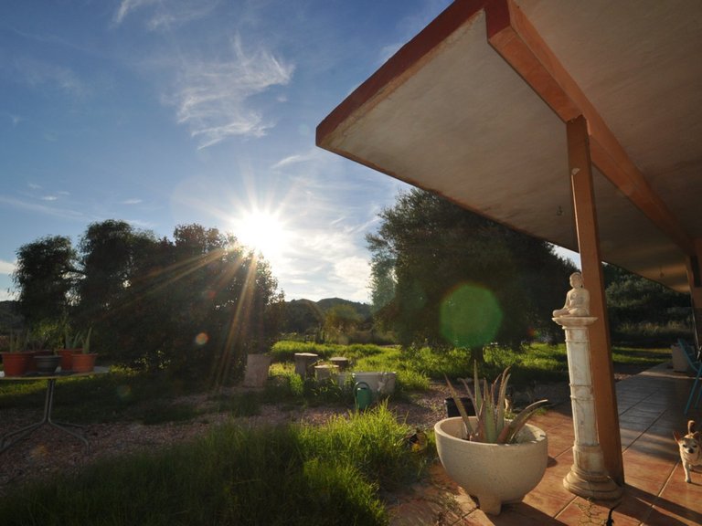 Villa for Sale in Aspe, Alicante 17