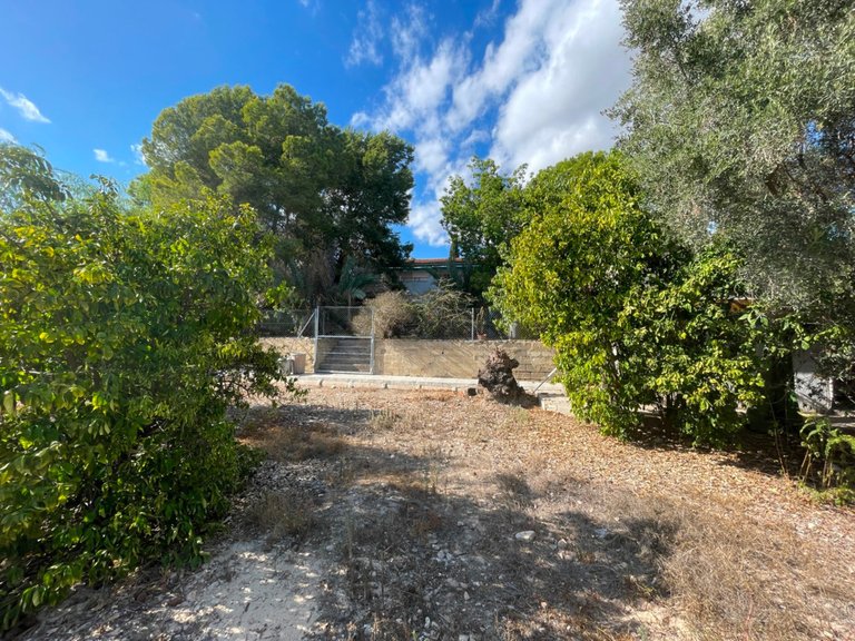 Villa for Sale in Albatera, Alicante 10