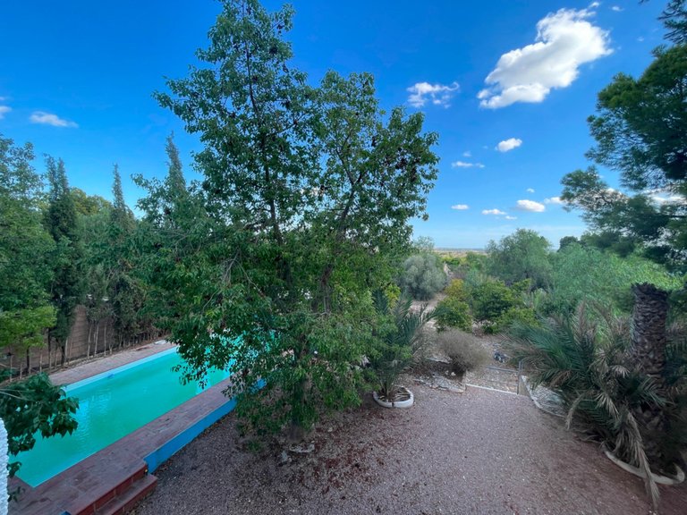 Villa for Sale in Albatera, Alicante 2