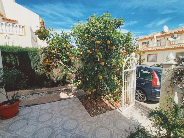 Villa for Sale in Playa Flamenca, Alicante 5
