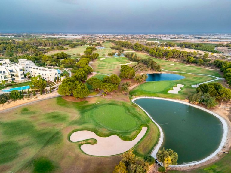 Apartment for Sale in Pilar De La Horadada, Alicante 13