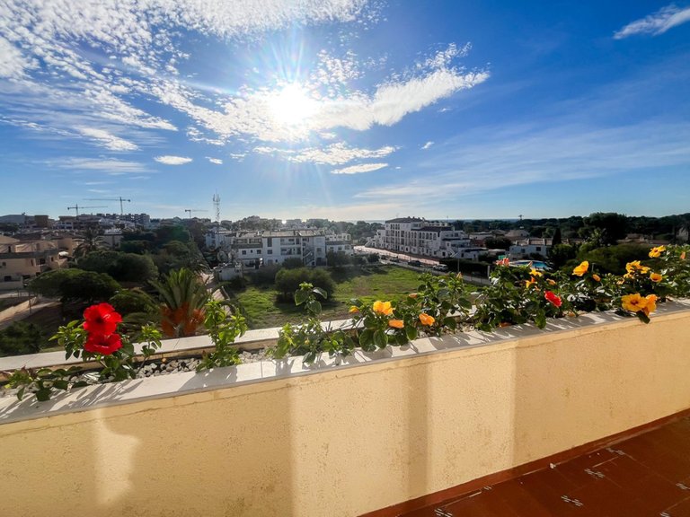 Apartment for Sale in Punta Prima, Alicante 5
