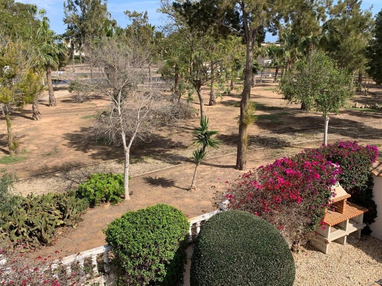 Villa for Sale in Guardamar Del Segura, Alicante 22