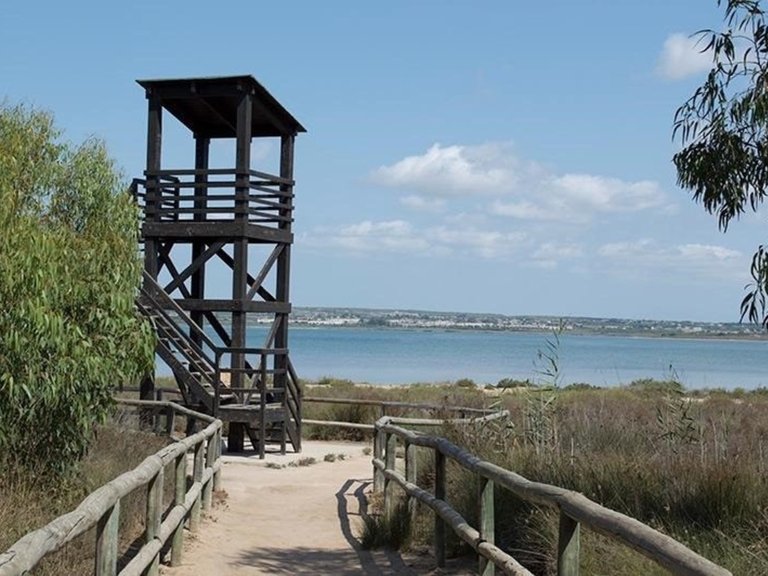 Apartment for Sale in La Mata, Alicante 21