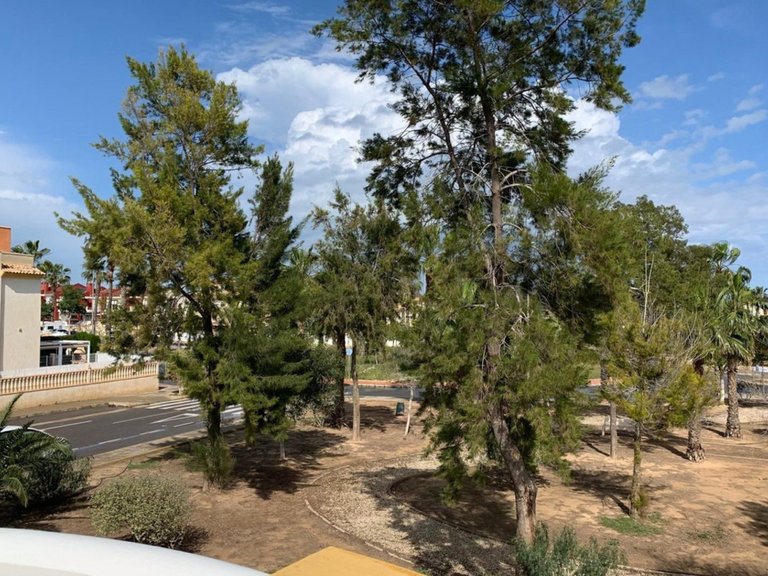 Villa for Sale in Guardamar Del Segura, Alicante 24