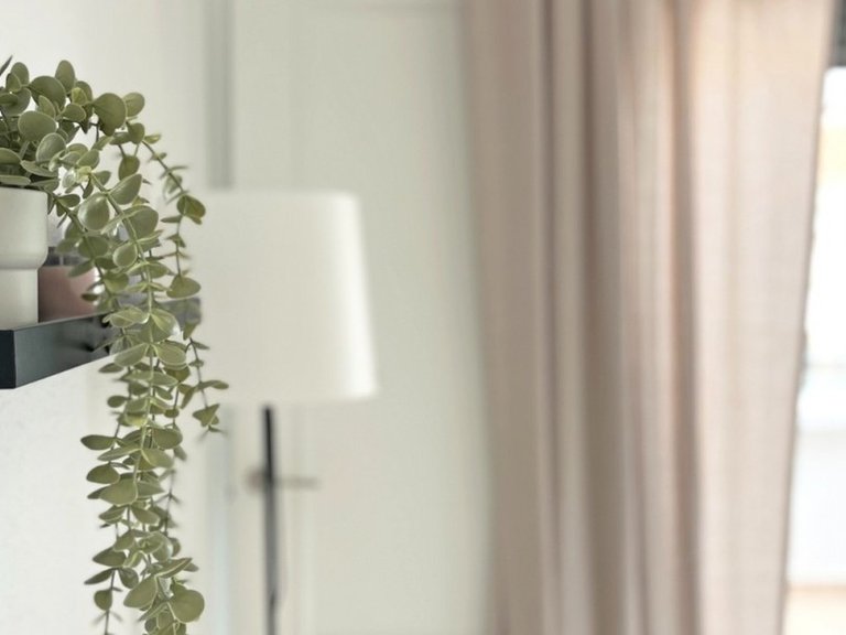 Town House for Sale in San Miguel De Salinas, Alicante 5