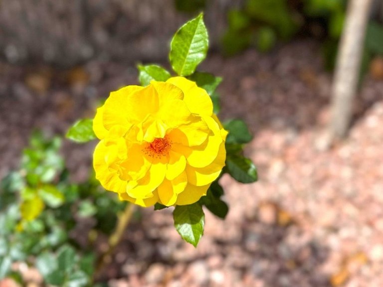 Apartment for Sale in Orihuela Costa, Alicante 9