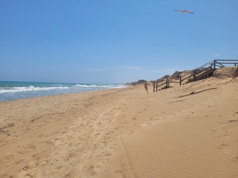 Apartment for Sale in Guardamar Del Segura, Alicante 31