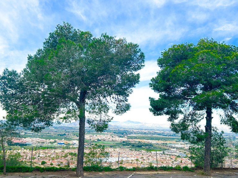 Apartment for Sale in Rojales, Alicante 14