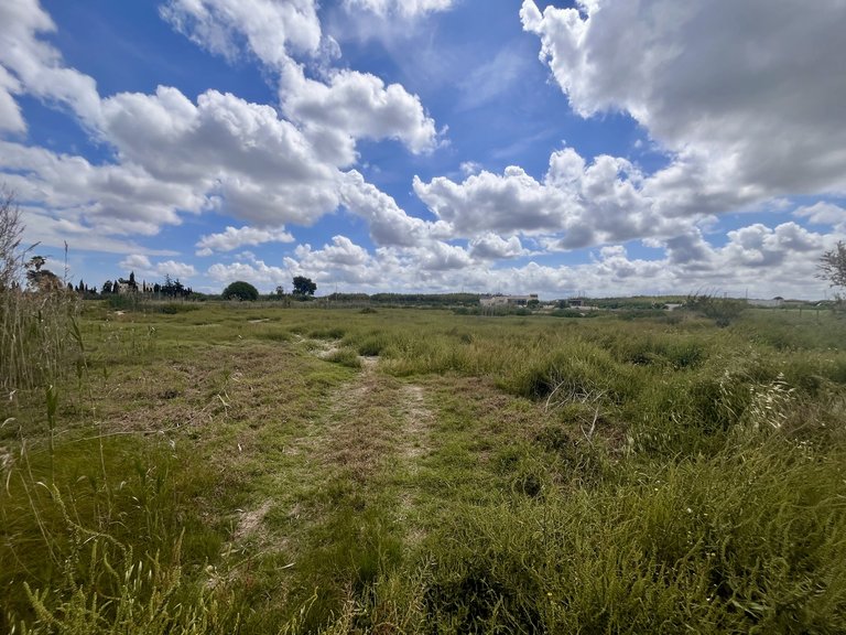 Plot for Sale in Catral, Alicante 3