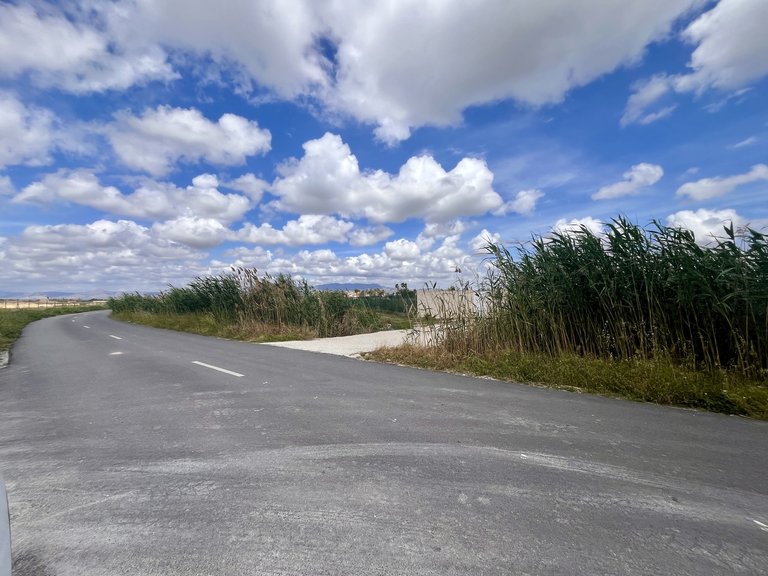 Plot for Sale in Catral, Alicante 4