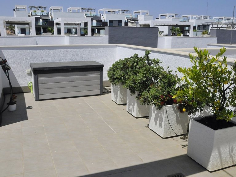 Apartment for Sale in Guardamar, Alicante 32