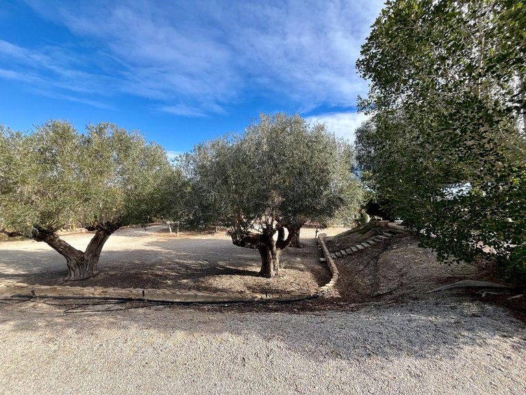 Villa for Sale in El Esparragal, Murcia 40