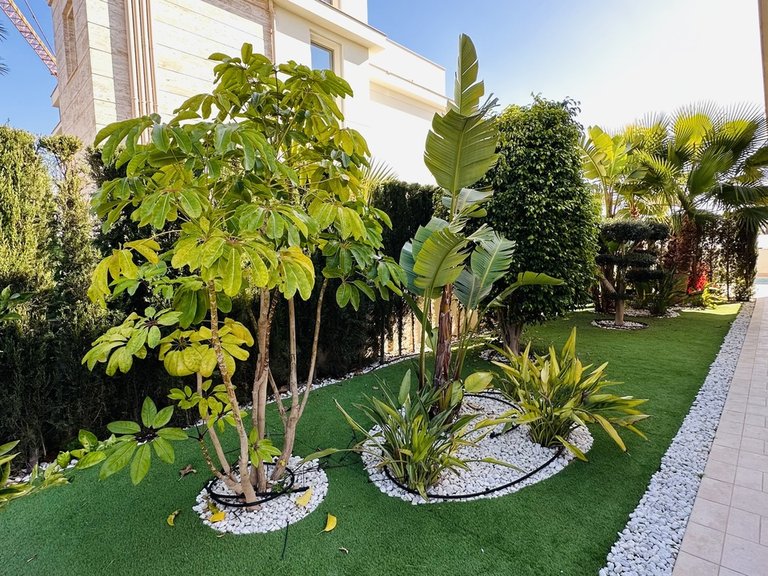 Villa for Sale in Costa Blanca La Zenia, Alicante 32