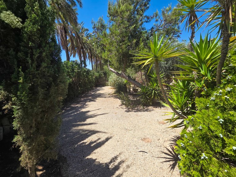 Villa for Sale in Costa Blanca Elche, Alicante 5
