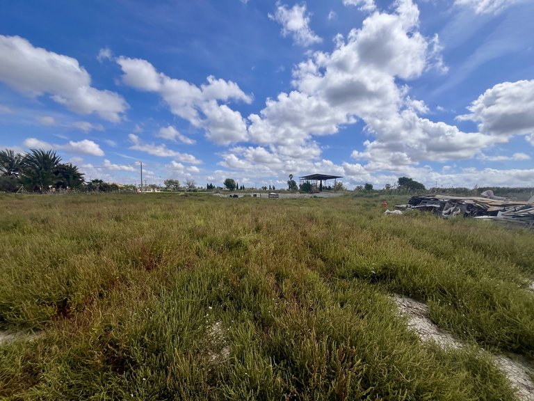 Plot for Sale in Catral, Alicante 1
