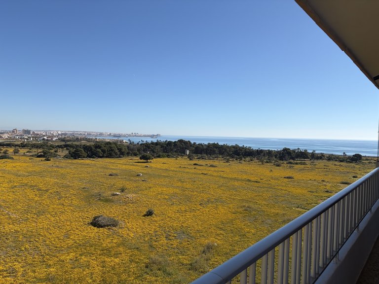 Apartment for Sale in Punta Prima, Alicante 5