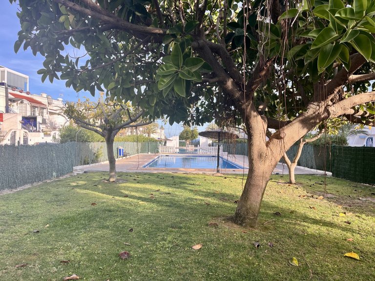 Apartment for Sale in Torrevieja, Alicante 13