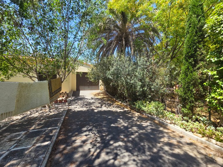 Villa for Sale in Costa Blanca Elche, Alicante 29