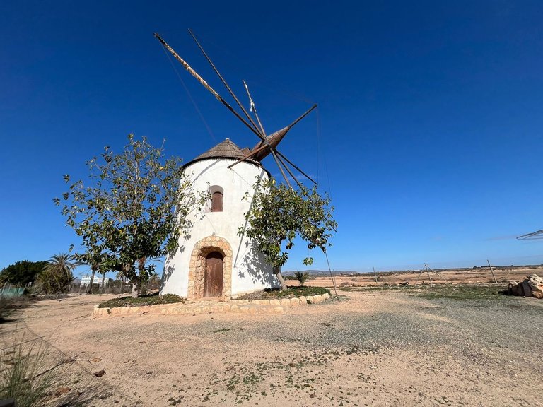 Villa for Sale in Torre Pacheco, Murcia 2