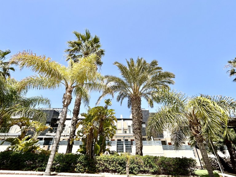 Town House for Sale in Inland Los Dolses, Alicante 42